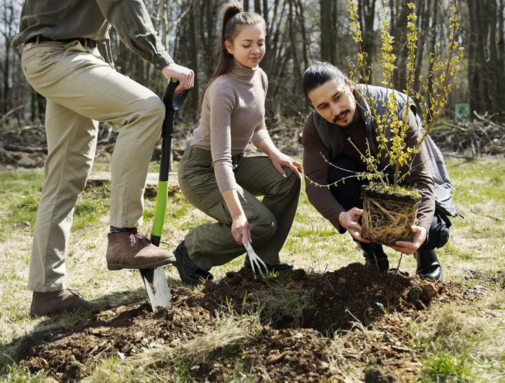 distribuer des graines, un arbre ou une plante à planter, pour faire grandir un souvenir vivant ; encore une fois nous avons des partenaires idéales pour ça :  www.lesflories.fr et www.dansnoscoeurs.fr